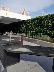 RV Residences (D10), Condominium #563598021